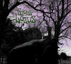 Stone Lotus : Stone Lotus